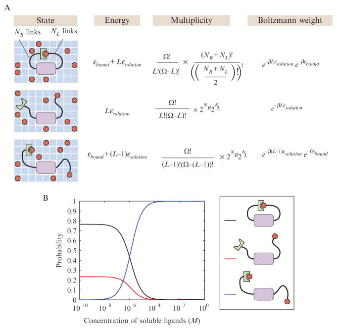 Figure 2.13