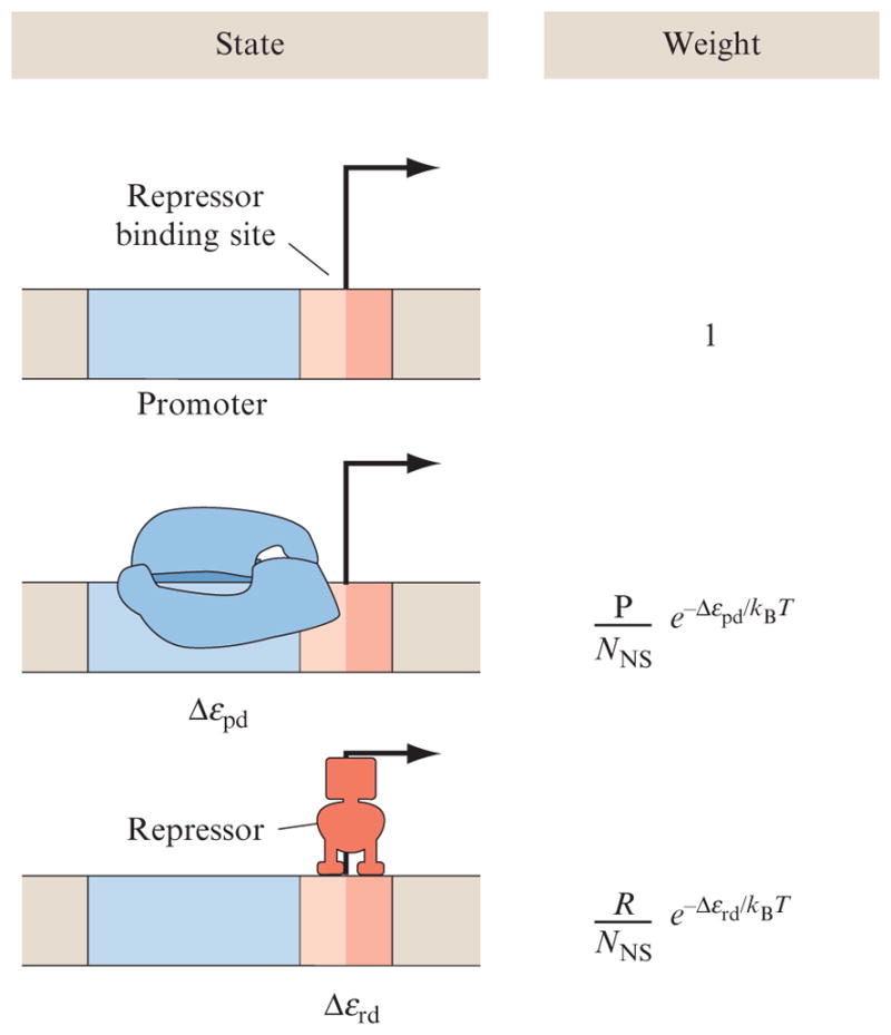 Figure 2.4