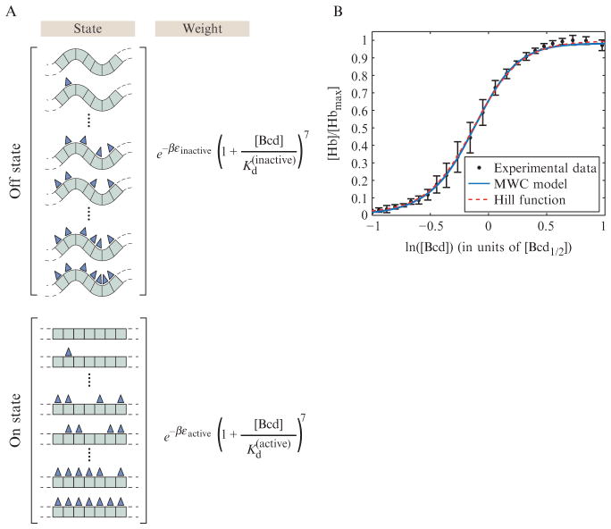 Figure 2.12