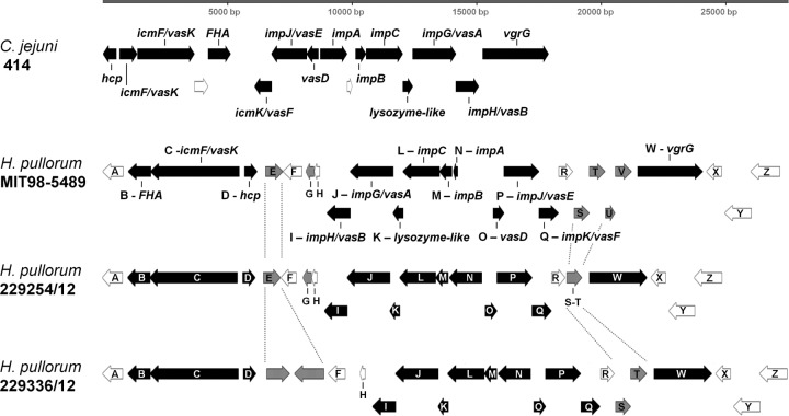 FIG 3