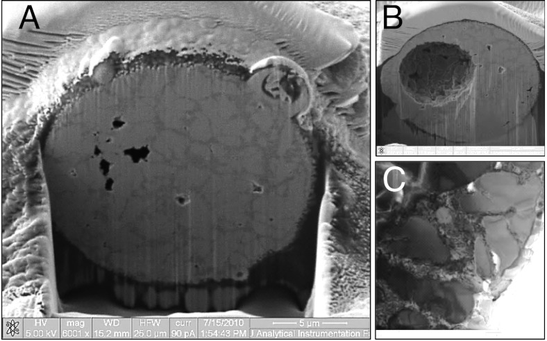 Fig. 9.