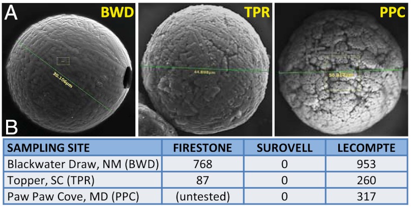 Fig. P1.