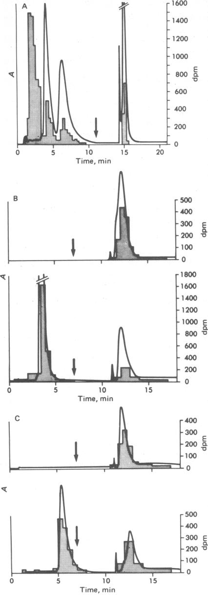 graphic file with name pnas00002-0206-a.jpg