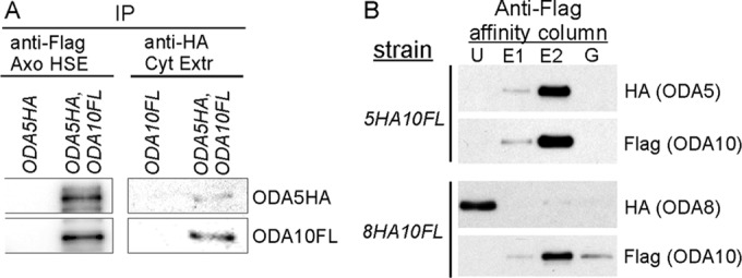 FIGURE 3: