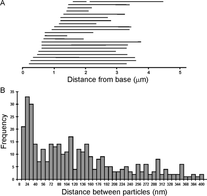 FIGURE 6: