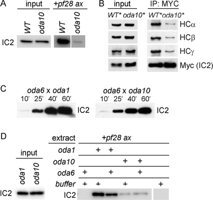 FIGURE 9: