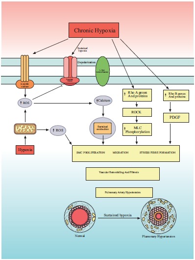 Fig. (3)