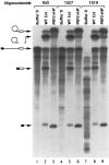 FIG. 6