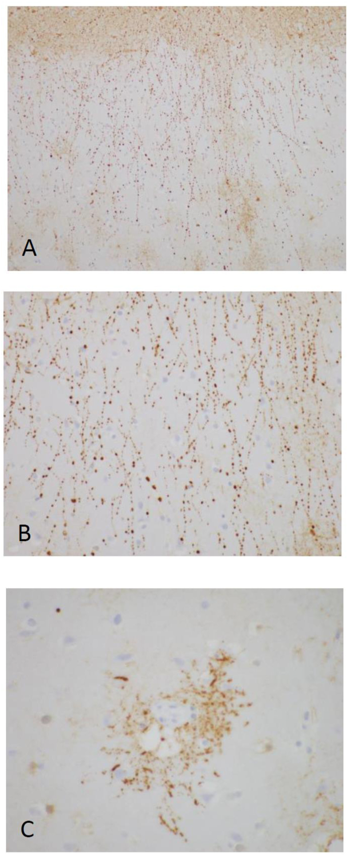 Figure 2