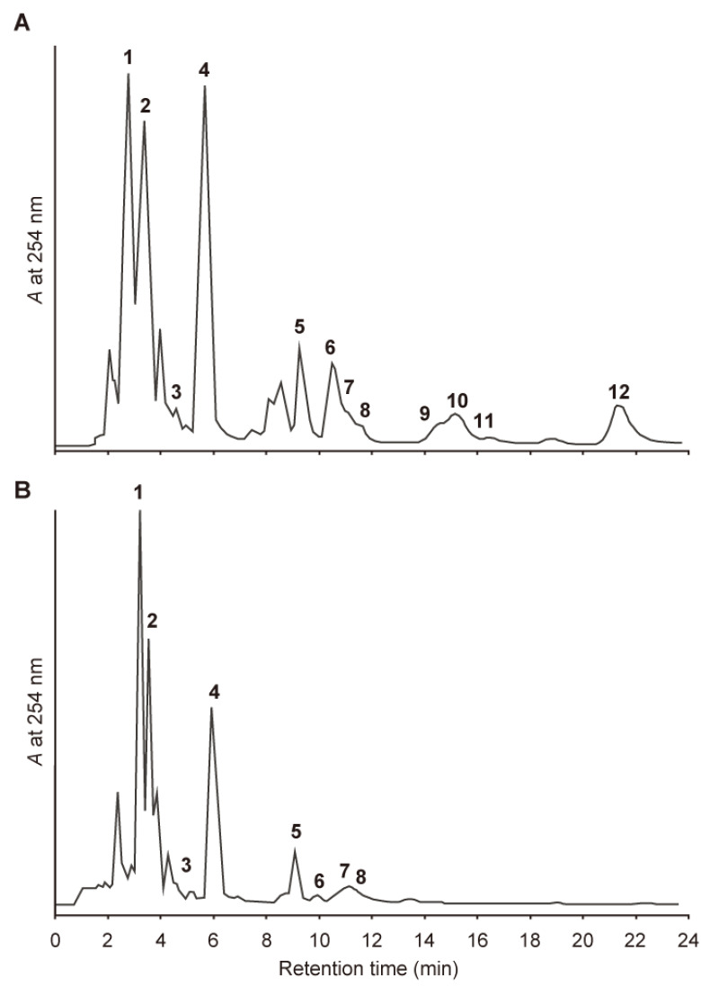 Figure 7. HPLC chromatograms of an extract from anthers with pollen. (A) Extract from anthers with non-fluorescent pollen and (B) anthers with fluorescent pollen. Operating conditions: column, ODS; solvent, 0.1% AcOH in 39% MeOH (1 ml min−1); detection, UV 254 nm.