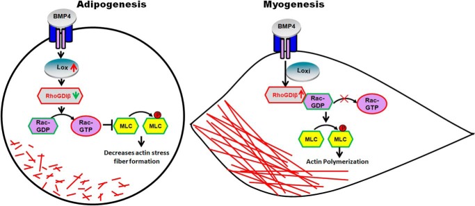 FIGURE 7.