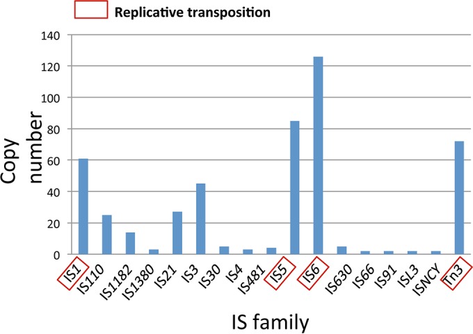 FIG 6 