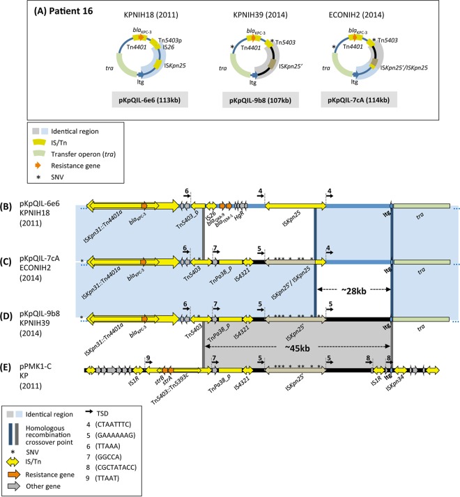 FIG 3 