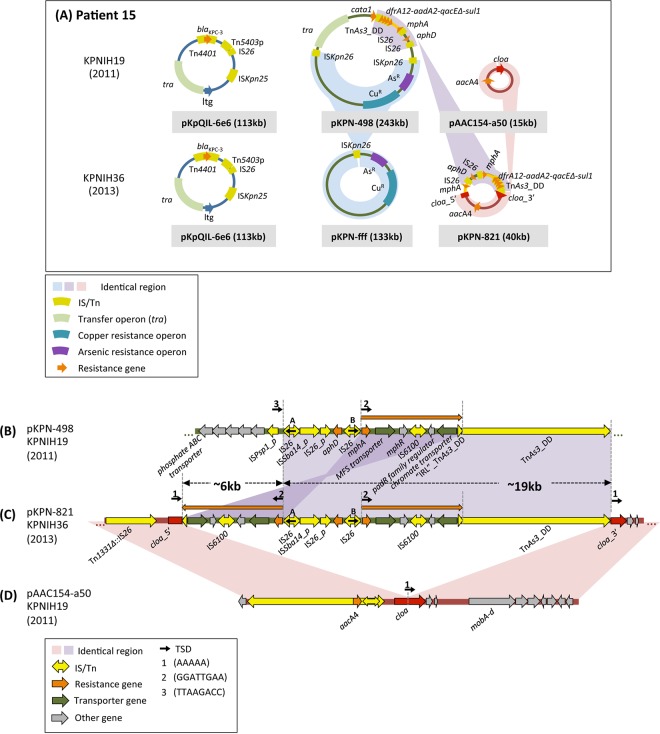 FIG 2 