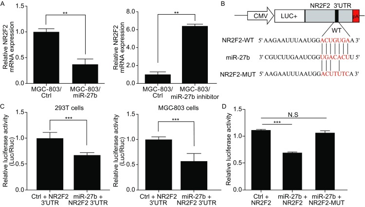 Figure 6