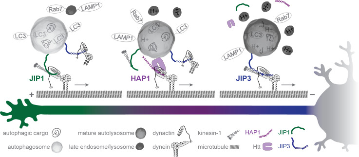 Figure 10.