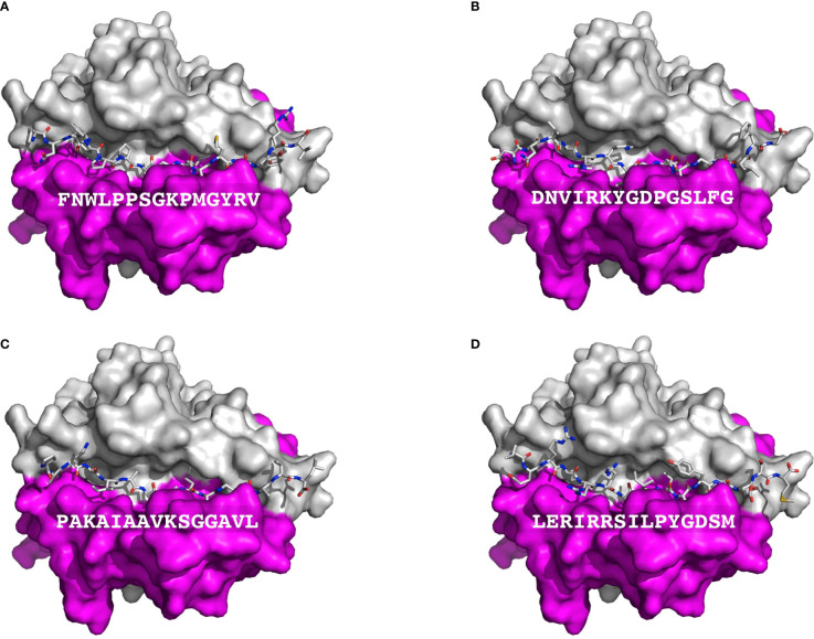 Figure 2