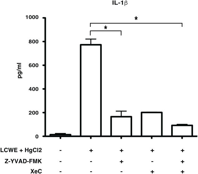 Figure 5