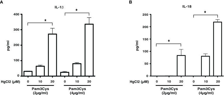 Figure 3