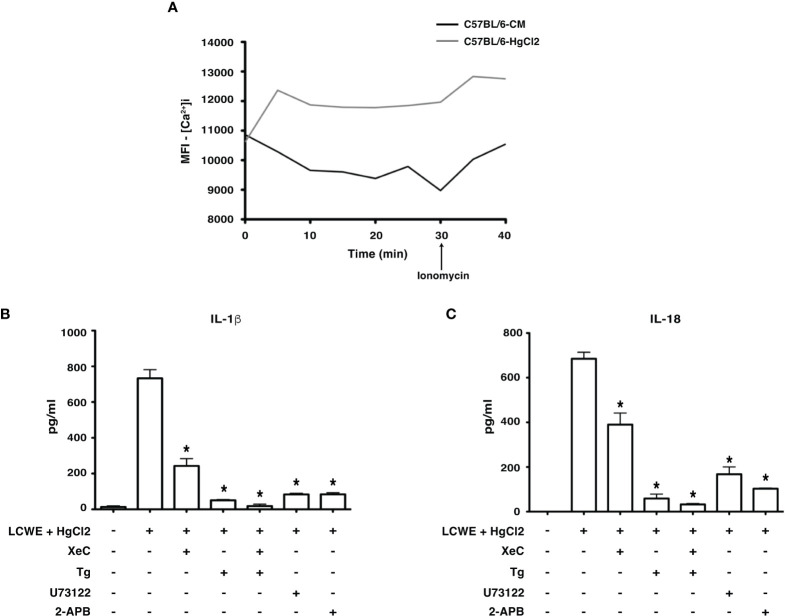 Figure 4