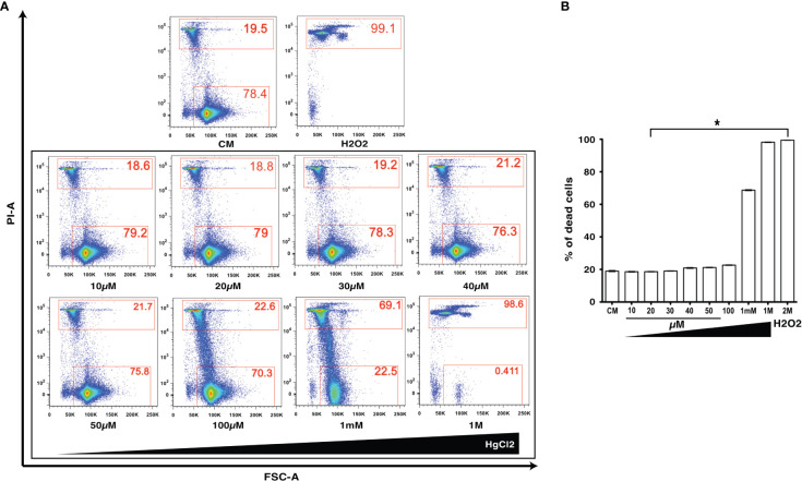 Figure 1