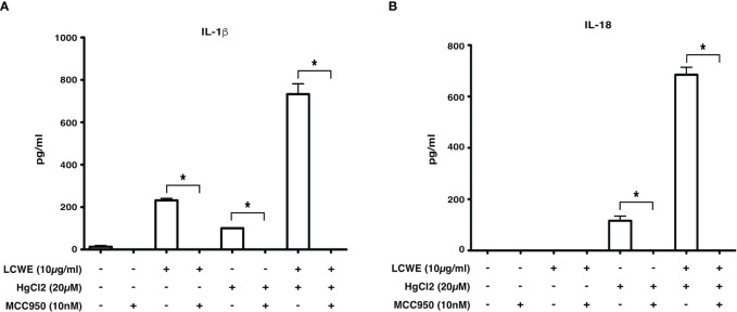 Figure 6