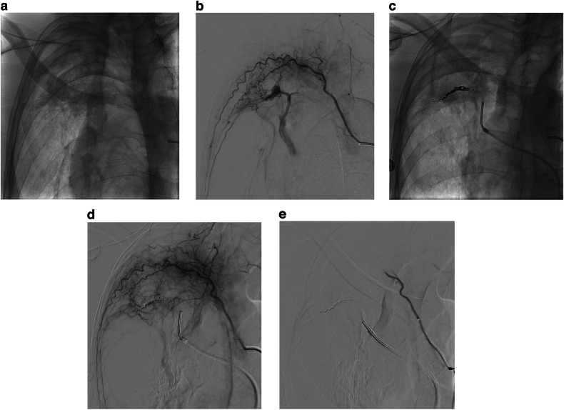 Fig. 5