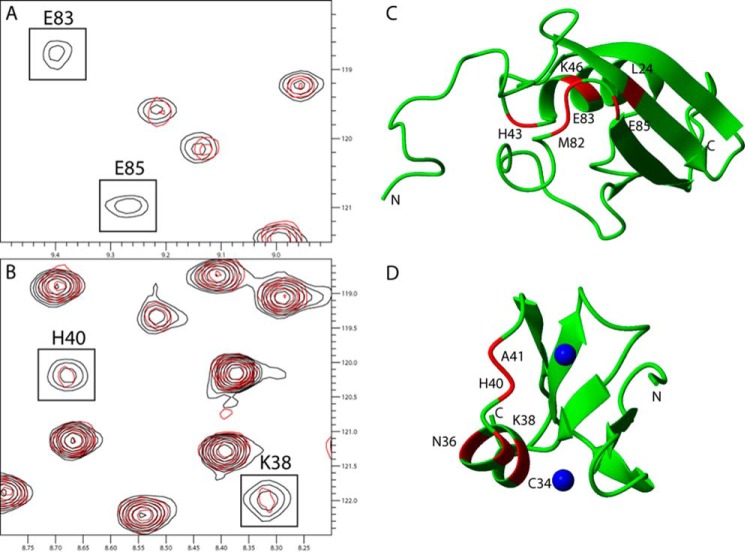 FIGURE 1.