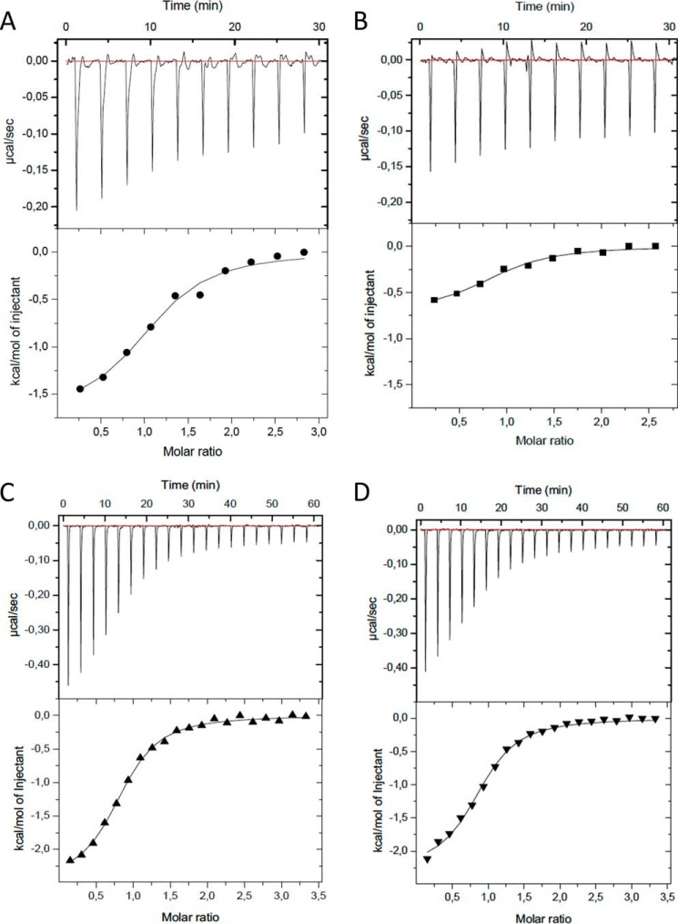 FIGURE 4.