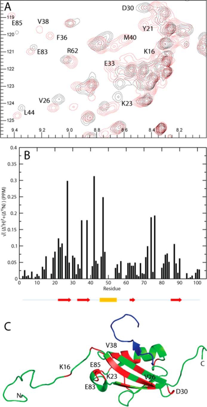 FIGURE 7.