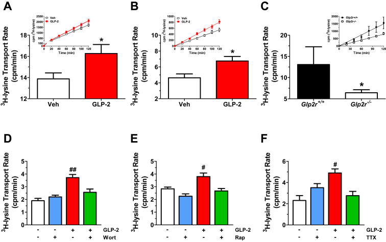 Figure 5