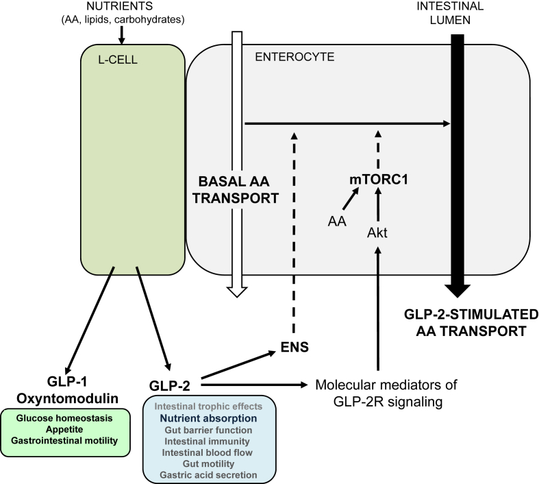 Figure 6