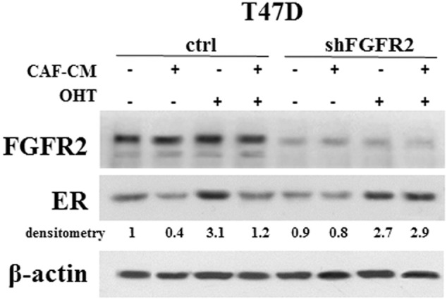 Supplementary data, Figure 4