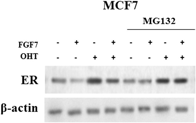 Supplementary data, Figure 5