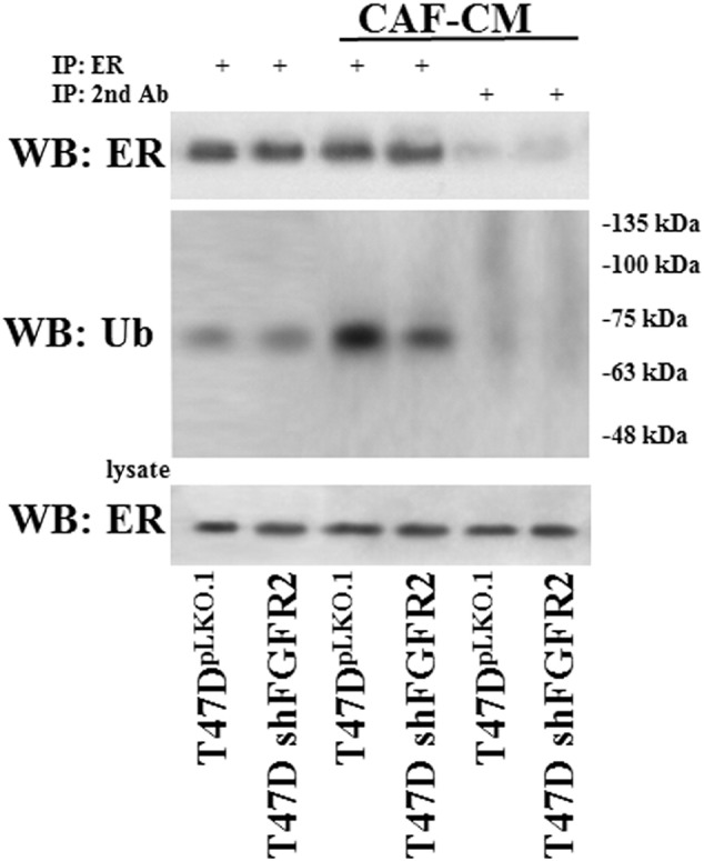 Supplementary data, Figure 6