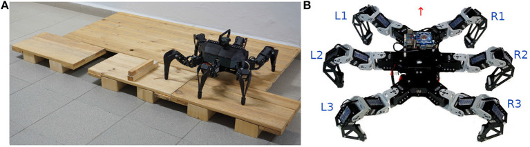 Figure 6