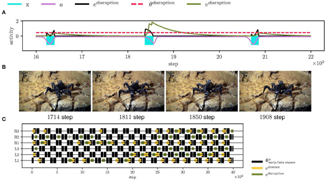 Figure 11