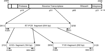 FIG. 1.