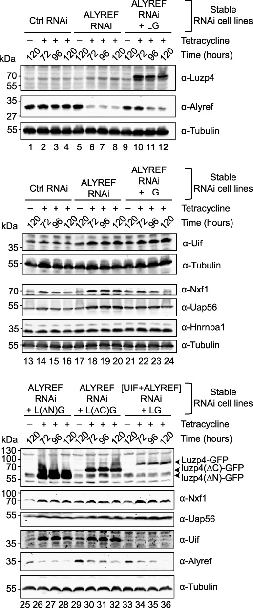 Figure 5.