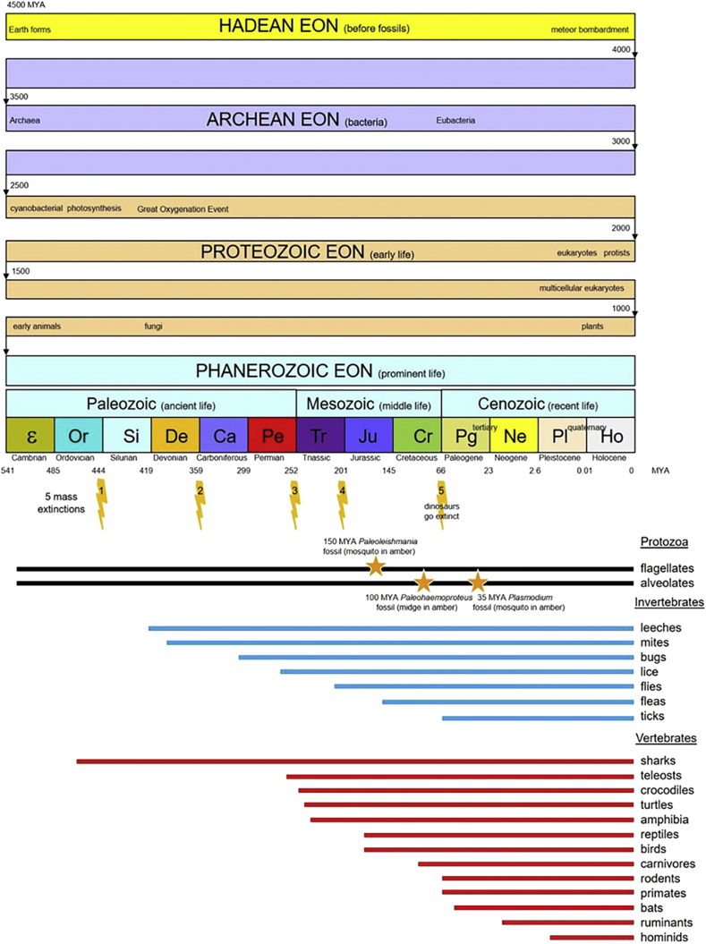 Fig. 2