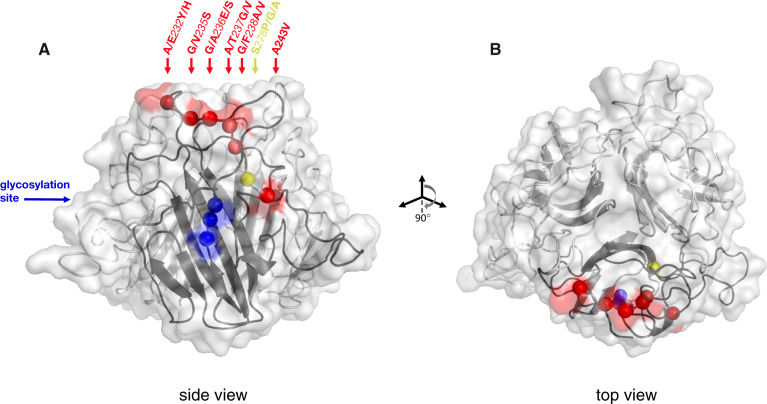 Fig. 4.