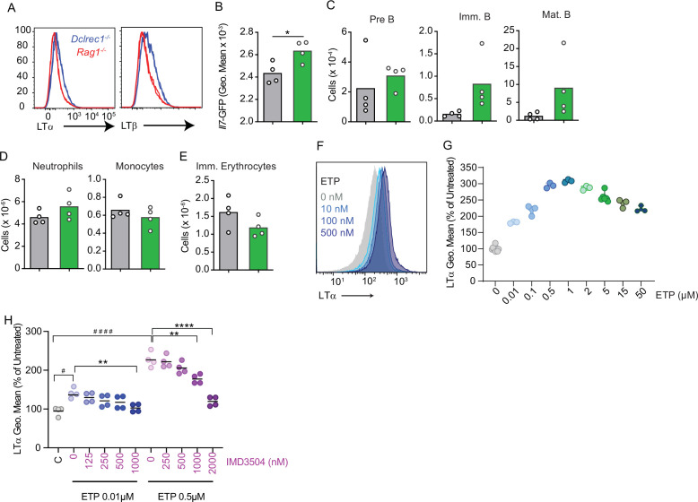 Figure 5—figure supplement 1.