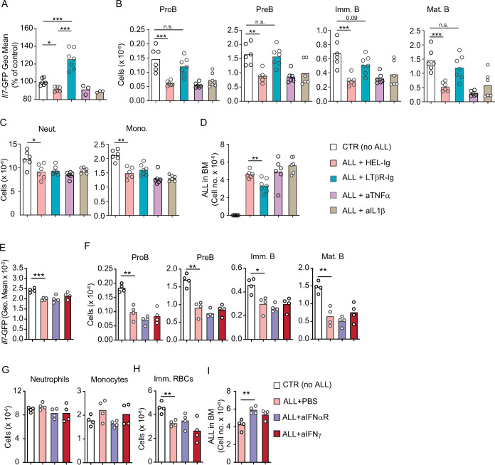 Figure 3—figure supplement 1.