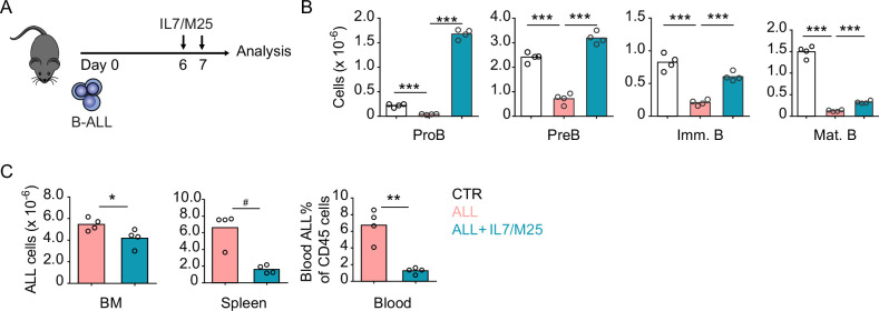 Figure 4—figure supplement 1.