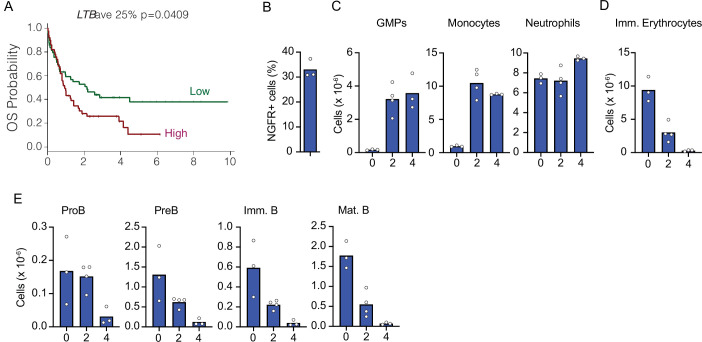 Figure 6—figure supplement 1.