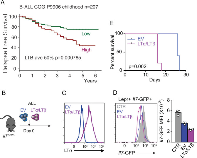 Figure 2—figure supplement 1.