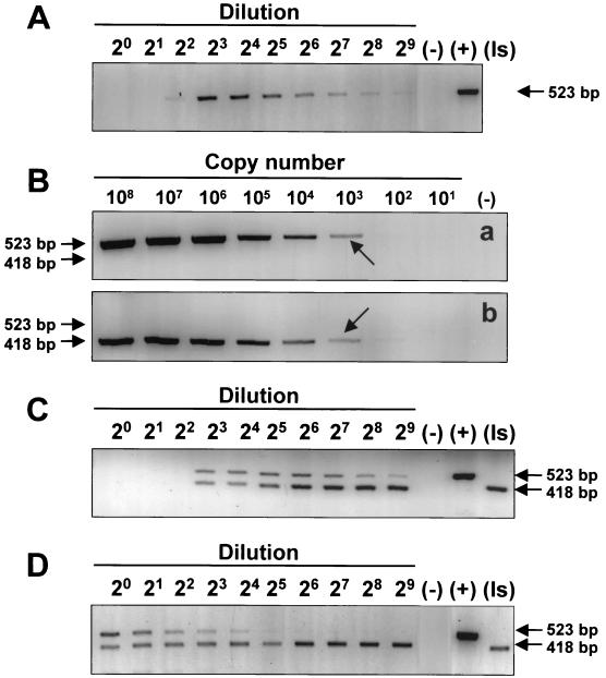 FIG. 5.