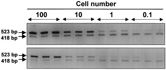 FIG. 7.