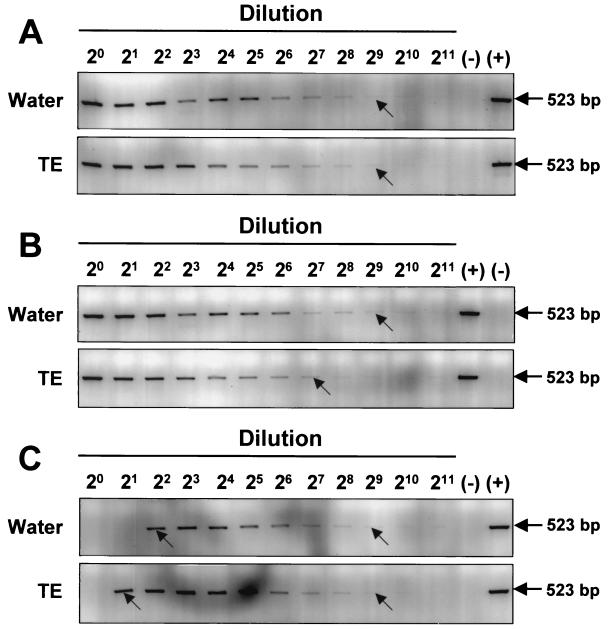 FIG. 6.