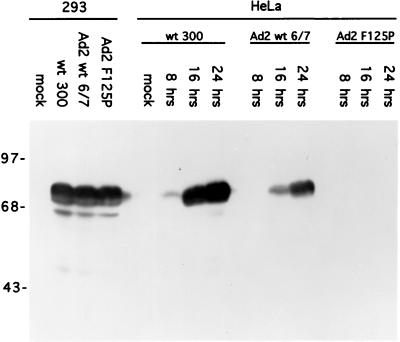 FIG. 6